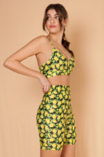 Primavera lemon active set