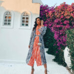 Zebras in city kimono