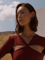 Noreen Bordeaux Dress - Image 5