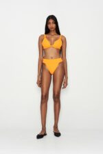 Sunkissed Bikini - Image 3