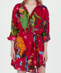 ALEBRIJES Boyfriend Shirt Dress front close-up – Cleo Gatzeli